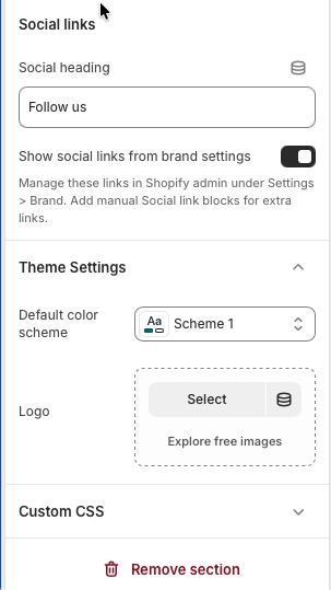 Footer theme settings and custom CSS panels in the theme editor.